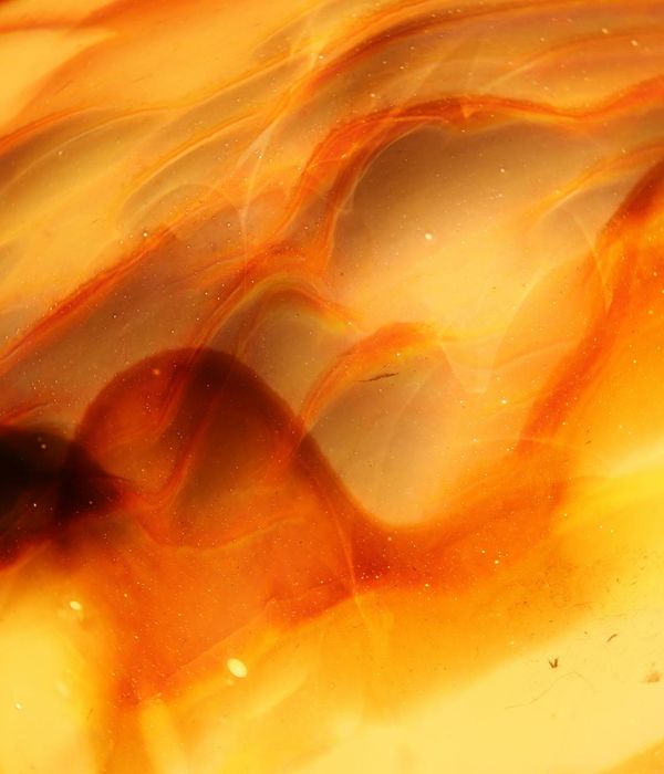 Abstract energy flow representing vitality and controlled breathing rhythm